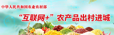 “互联网”农产品出村进城工程