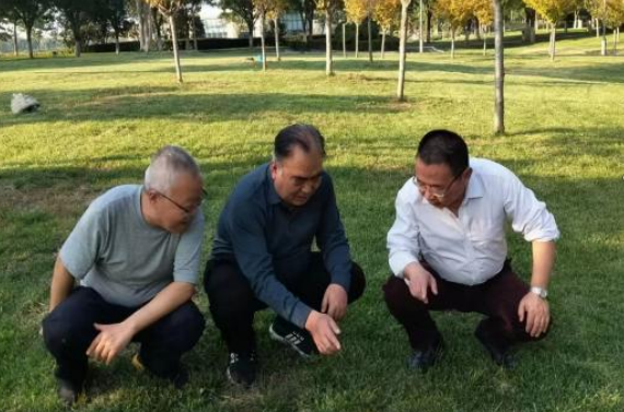 2023年9月16日王新教授到西安市渭河绿地进行绿地植物栽培养护技术指导